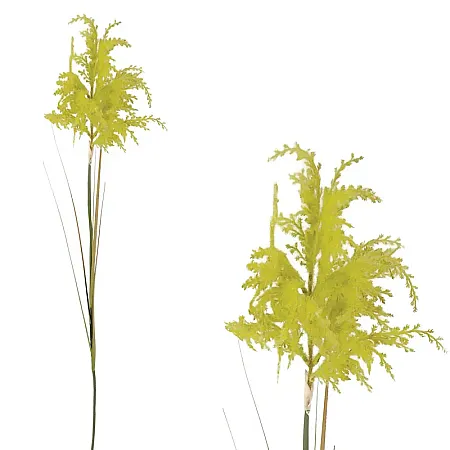 images/uploads/22807/thumb_1383-3 GREEN.webp